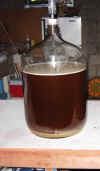 First_All_Grain_Special_Bitter_in_primary.JPG (64733 bytes)